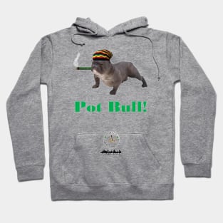 Pot Bull Hoodie